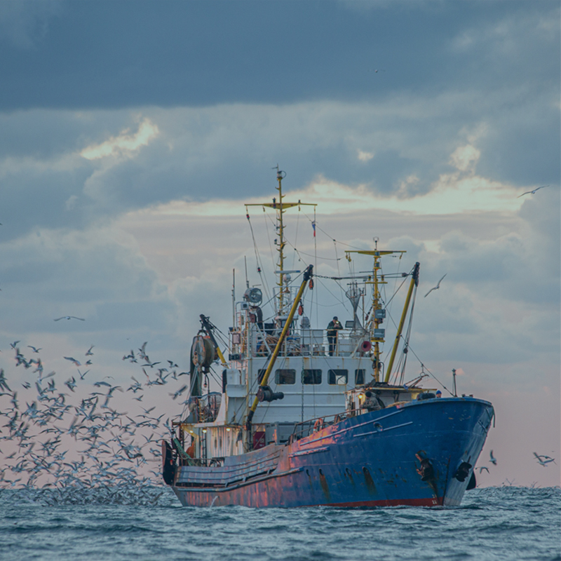 Fishing vessel monitoring by BigOceanData